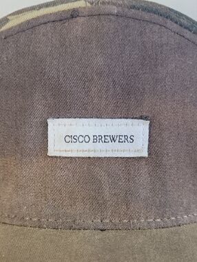 Cisco Faded Camouflage Panel Trucker Hat in Brown and Green